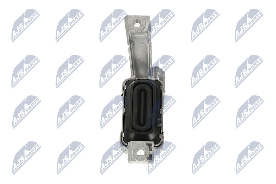 ZPS-BM-038 Engine mount NTY Mini
