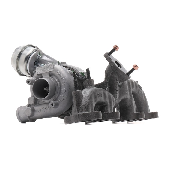Turbo RIDEX REMAN 2234C10602R