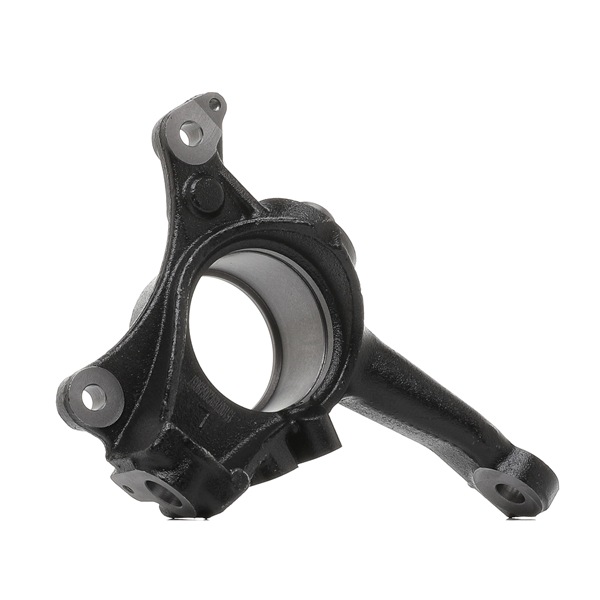 RIDEX 1159S0160 Fuseestuk