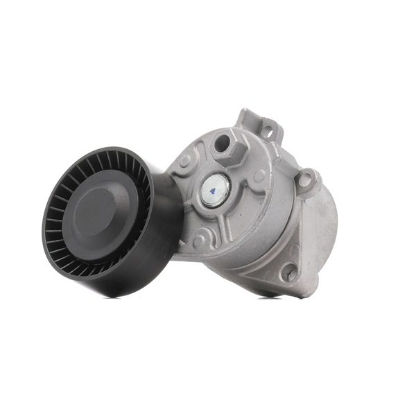 541V0007P RIDEX PLUS Tensor de correa costo