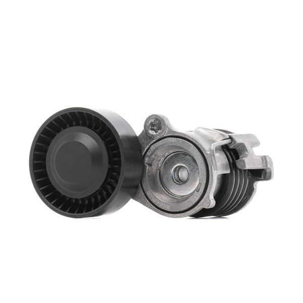 Polea tensora RIDEX PLUS 310T0057P