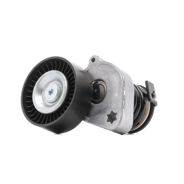 20649182 541V0033P OEM Tensor de correa RIDEX PLUS precio