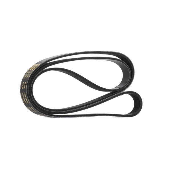 Keilrippenriemen 71 753 670 RIDEX PLUS 305P0402P FORD, FIAT, TOYOTA, ALFA ROMEO, LANCIA
