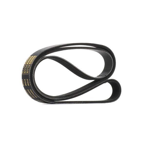 Correa de accesorios RIDEX PLUS 305P0173P