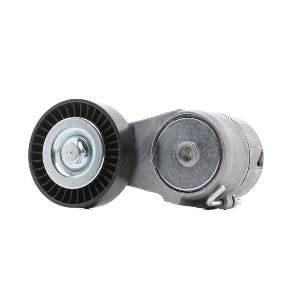 Обтегач за пистов ремък RIDEX PLUS 310T0025P