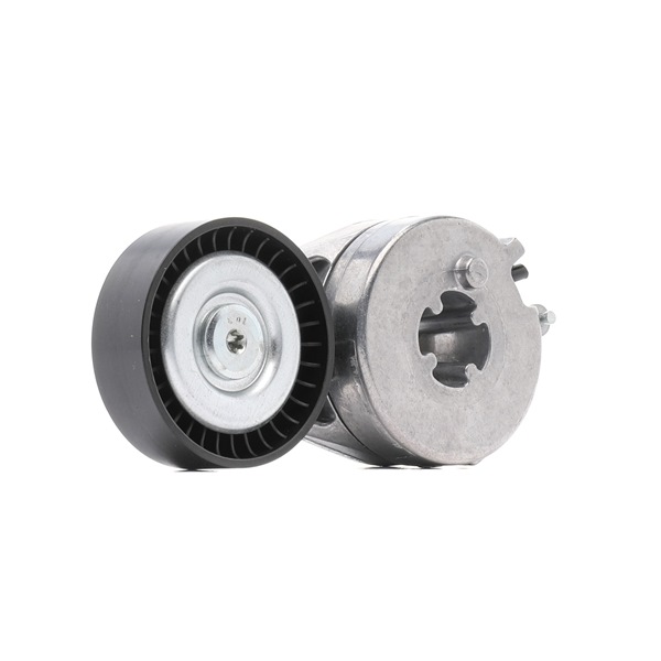 Tensor da correia RIDEX PLUS 310T0310P