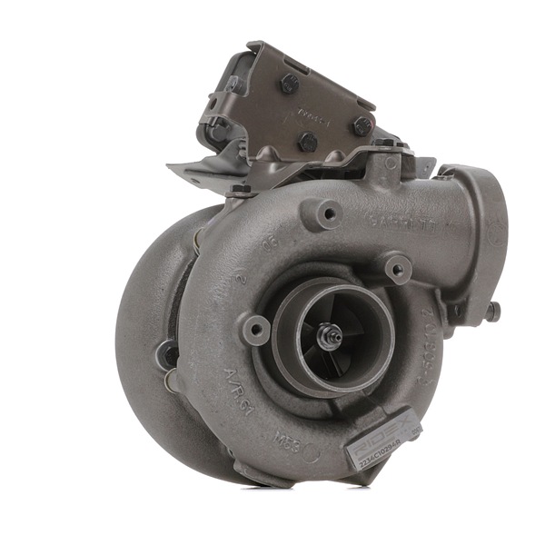 RIDEX REMAN 2234C10294R Turbodmychadlo