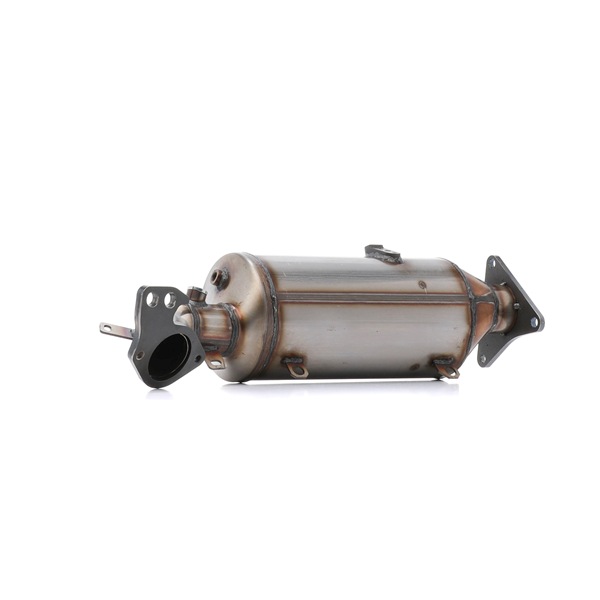 1256S0520 RIDEX Rußpartikelfilter Kosten