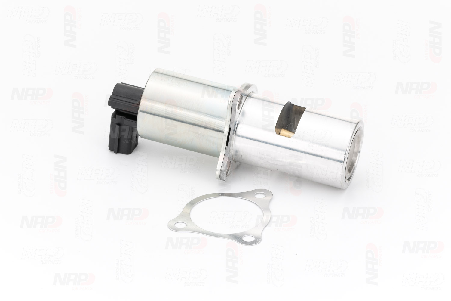CAV10020 NAP carparts AGR Kosten