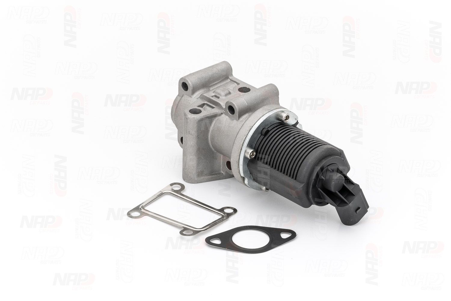 CAV10029 NAP carparts AGR Ventil Kosten