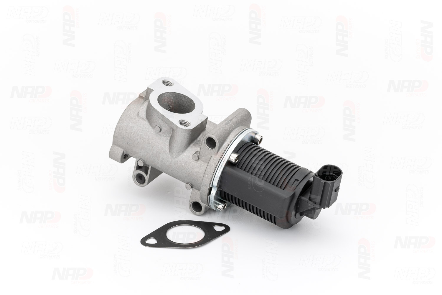 EGR NAP carparts CAV10031