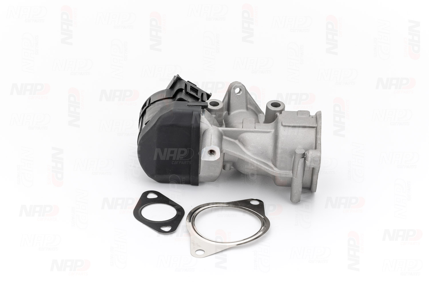 CAV10065 NAP carparts EGR Kosten
