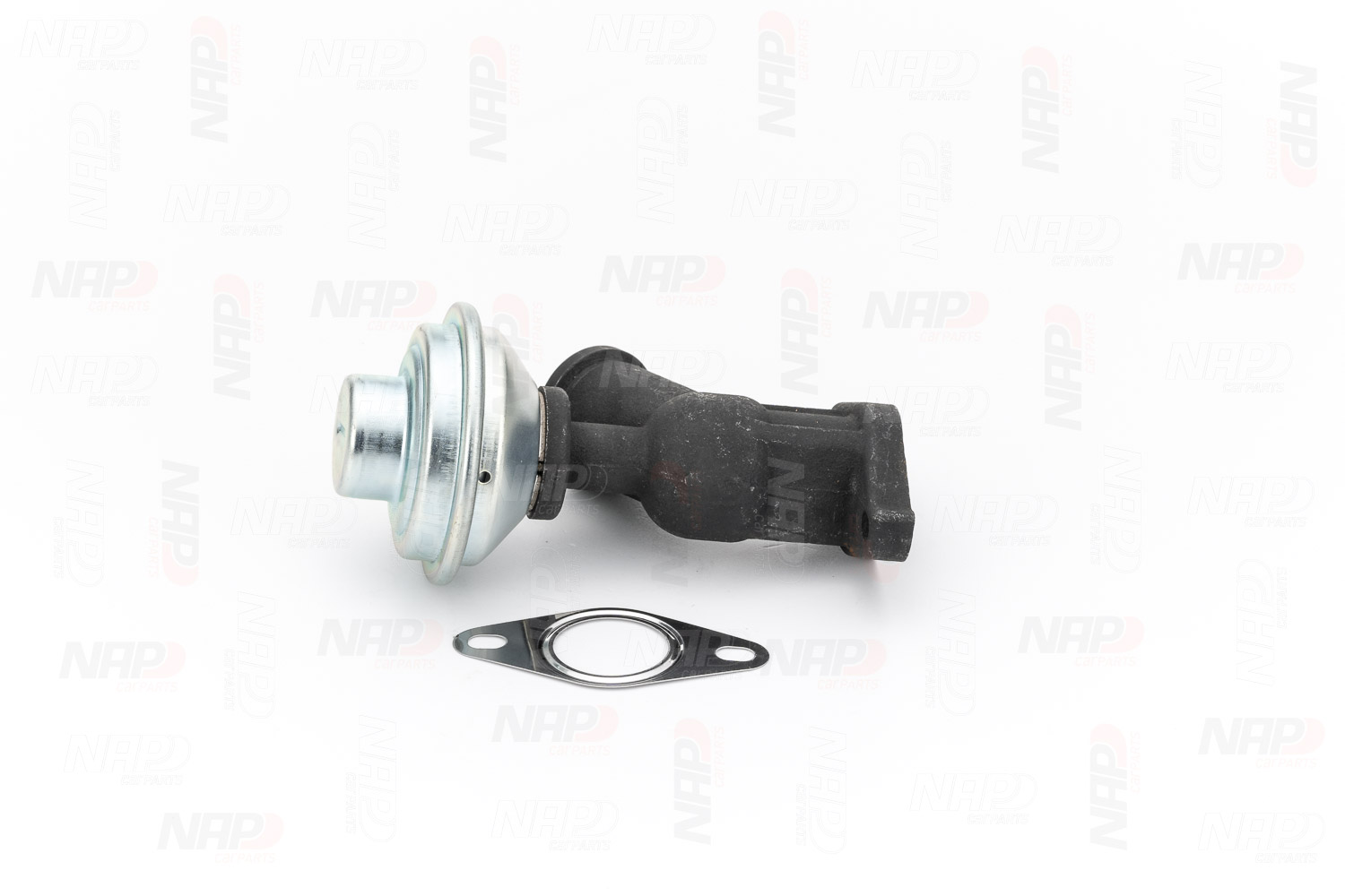 CAV10081 NAP carparts Abgasrückführungsventil Kosten