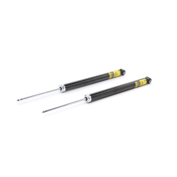 Amortiguadores RIDEX PLUS 854S1531P