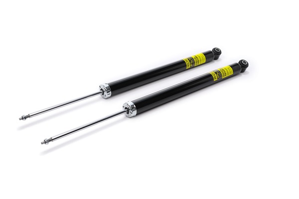 Amortecedor de suspensão RIDEX PLUS 854S1540P
