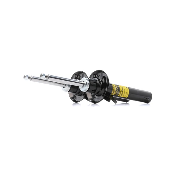 Dämpfer RIDEX PLUS 854S19296P