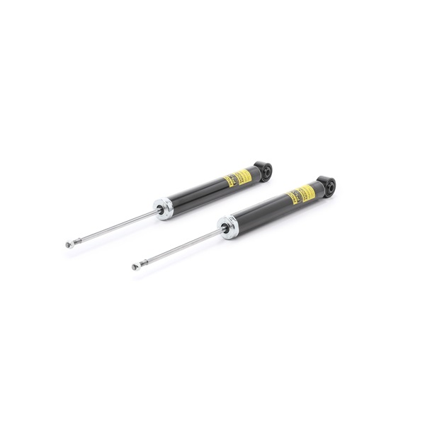 Stoßdämpfer RIDEX PLUS 854S1791P