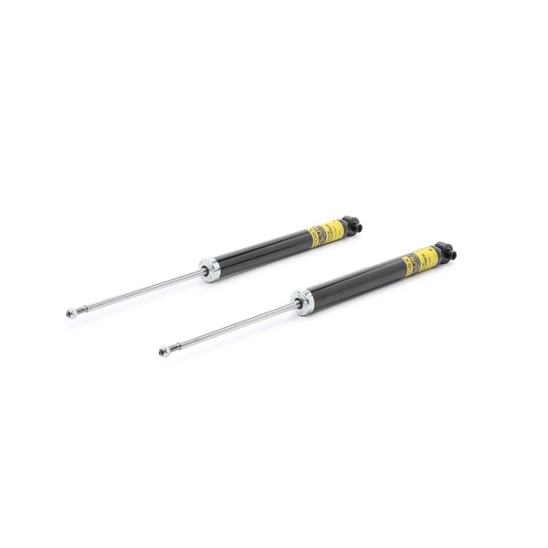 Federbein RIDEX PLUS 854S0808P