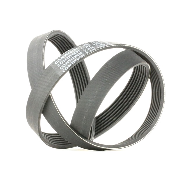 Keilrippenriemen 021 145 933 C CONTITECH 7PK1290 VW, AUDI, MERCEDES-BENZ, SKODA, SEAT
