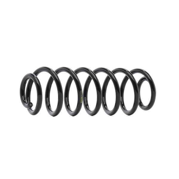 RIDEX PLUS 188C0007P Federn VW TOURAN 1.9 TDI 105 PS Diesel