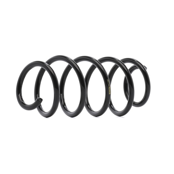 RIDEX PLUS 188C0186P Federn VW TOURAN 1.9 TDI 105 PS Diesel