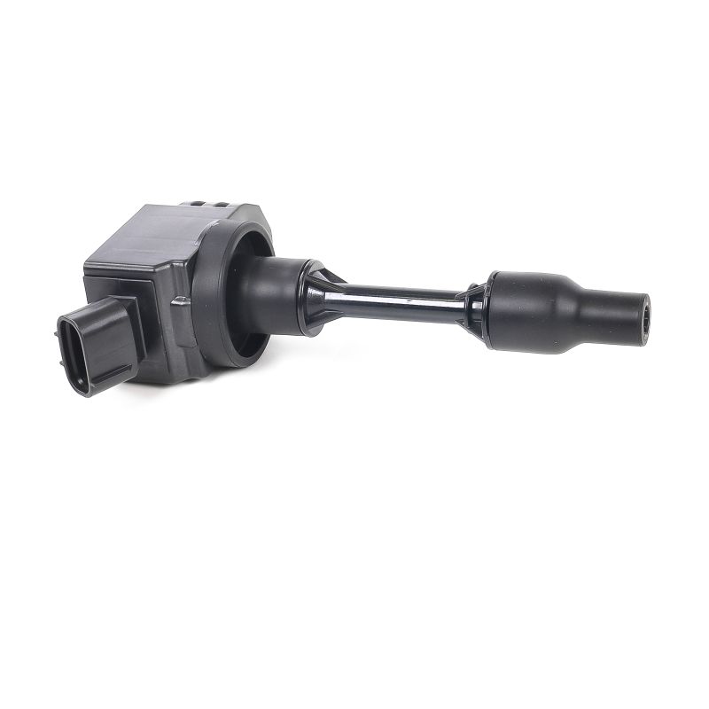 Bobines DELPHI GN11113-12B1 waardering