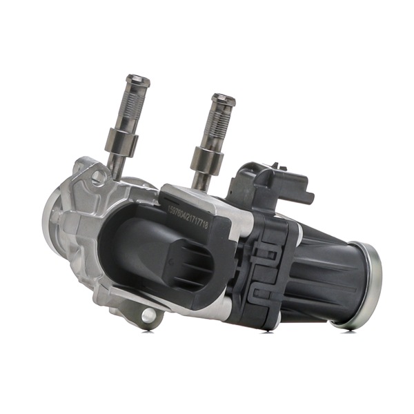 RIDEX 4198E0217 Module-EGR