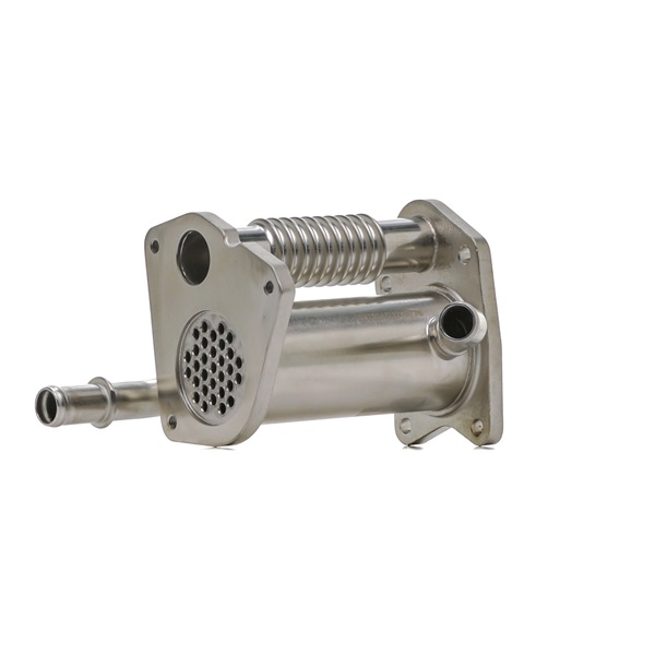 RIDEX 4198E0258 Module-EGR