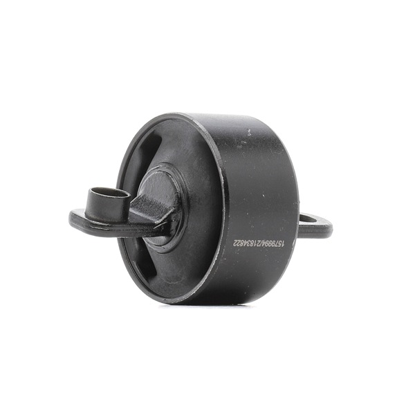 Control arm bushes RIDEX 251T1170