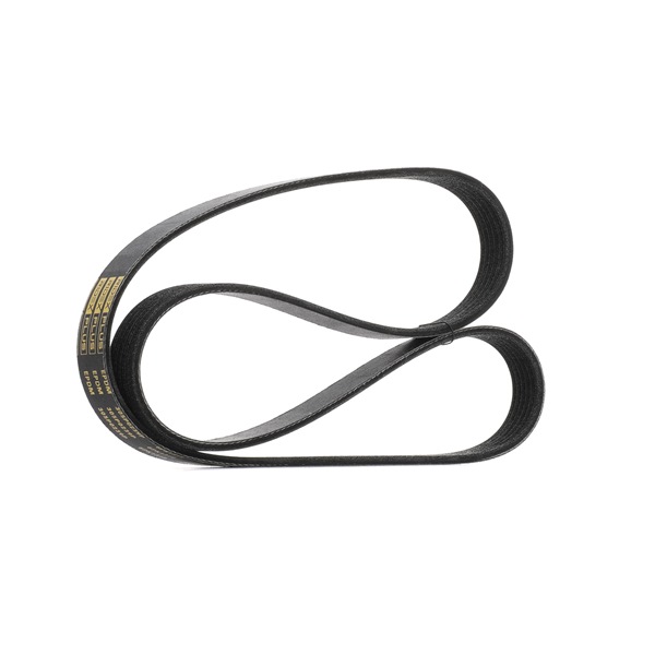 Dynamoriem RIDEX PLUS 305P0239P
