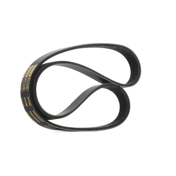 Poly V-belt RIDEX PLUS 305P0029P