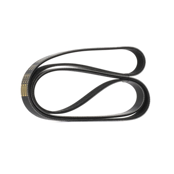 RIDEX PLUS 305P0157P Multisnaar FORD Transit Mk5 Bus (V184, V185) 2.3 16V RWD (F_B_, F_C_, F_A_) 146 Pk Benzine E5FC