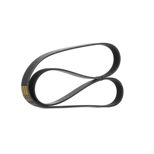 RIDEX PLUS 305P0519P Courroie d'accessoire MITSUBISHI L 200 2.5 D Diesel 75 CV