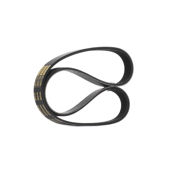 RIDEX PLUS 305P0503P Curea de accesorii RIDEX PLUS 305P0503P