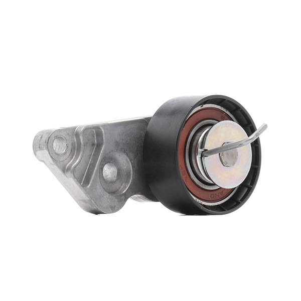 Rolamento tensor para correia de distribuição RIDEX PLUS 308T0050P