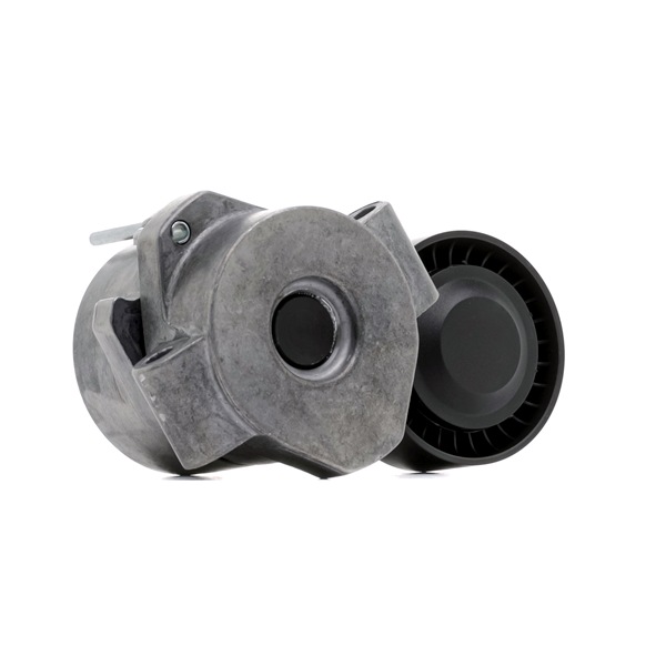 RIDEX PLUS 310T0289P Spanrol, poly V-riem