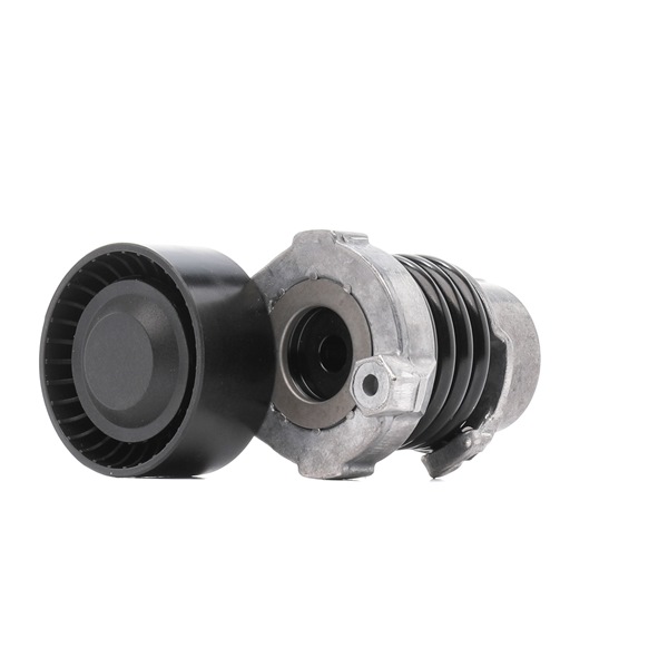 21854894 310T0290P OEM RIDEX PLUS Hosszbordás szíj feszítőgörgő árak