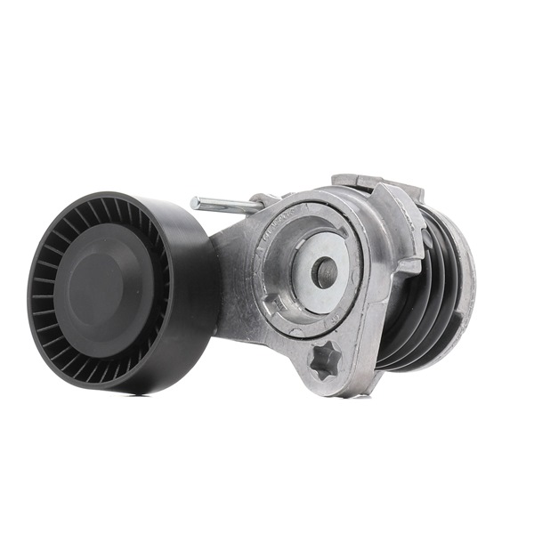 21854982 541V0022P OEM RIDEX PLUS Tensor de correa precio