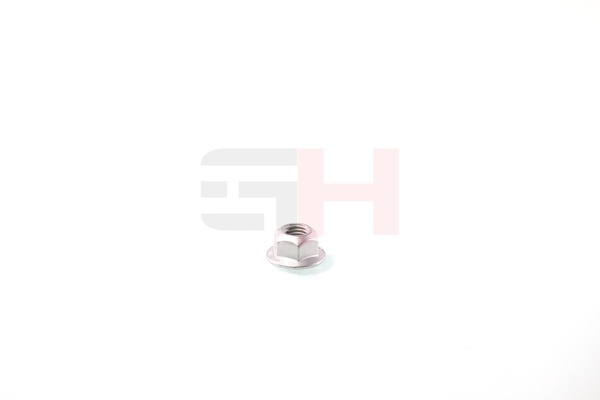 22053533 GH391594 OEM GH Mutter, Achsstummel Preis