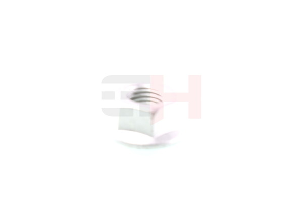 22053565 GH393373 OEM Mutter, Achsstummel GH Preis