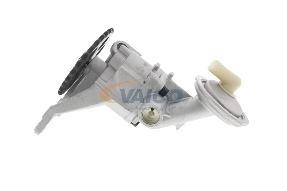 Ölpumpe V10-0139 VAICO 030115105C VW, AUDI, SKODA, SEAT, HYUNDAI