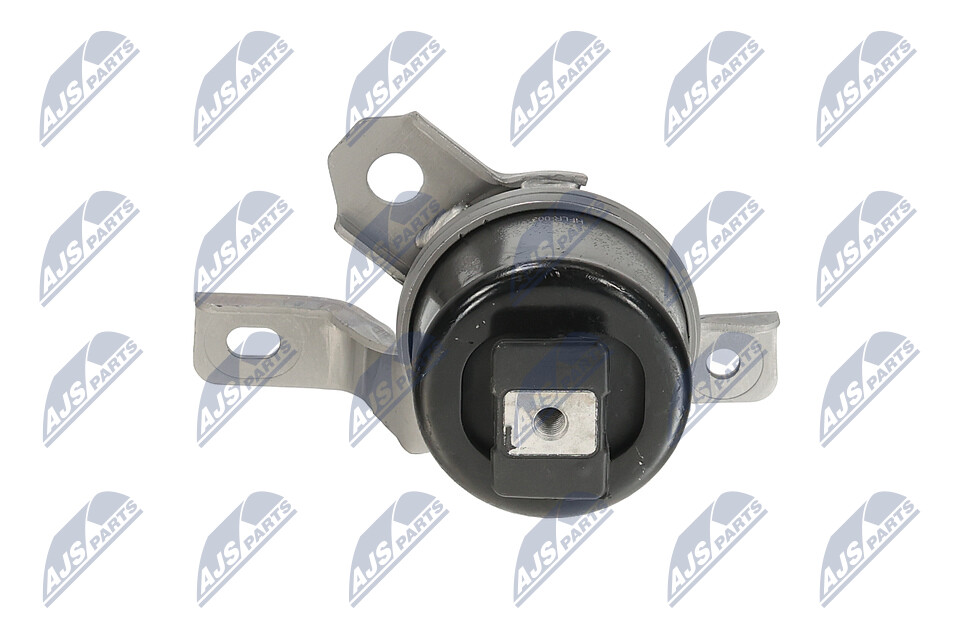 Motorlager LR024730 NTY ZPS-LR-003 LAND ROVER, ROVER
