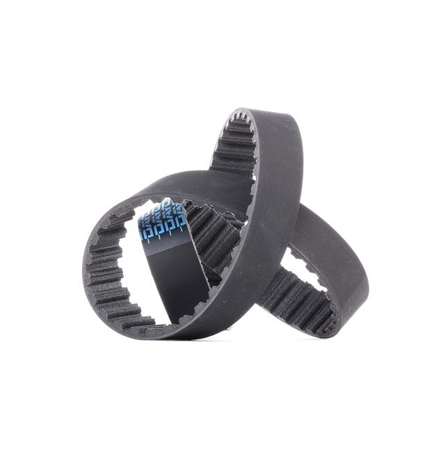 Cinghia distribuzione DAYCO 94775