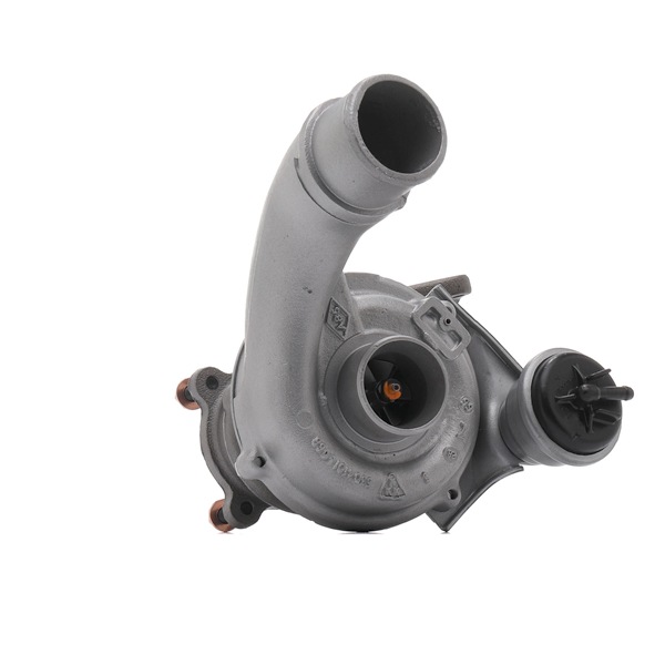 Turboladdare RIDEX REMAN 2234C10748R