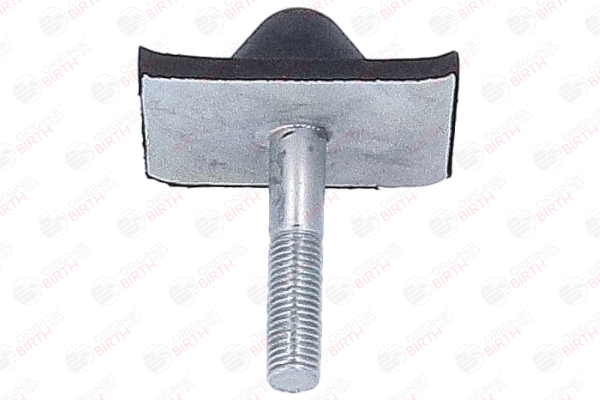 Lagerbuchse, Blattfeder 56718 BIRTH 987360 FIAT, ALFA ROMEO, LANCIA, ABARTH