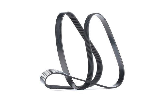 Ιμάντας poly-V DAYCO 6PK1606