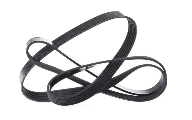 6x1805 DAYCO 6PK1805 Correa de accesorios JEEP WRANGLER 2020 costo