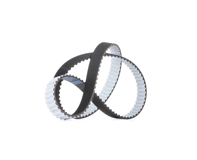 Correia dentada 076 109 119 A DAYCO 941008 VW, AUDI, SEAT, SKODA, CUPRA