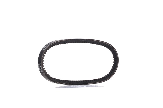 10x550 DAYCO 10A0550C Keilriemen