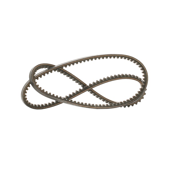 Keilriemen 10A1125C DAYCO ERC5836 FORD, JAGUAR, MG, ROVER, TRIUMPH